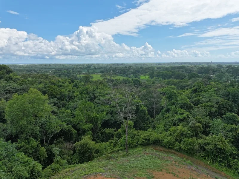 Land For Sale in Dominical, photo 3