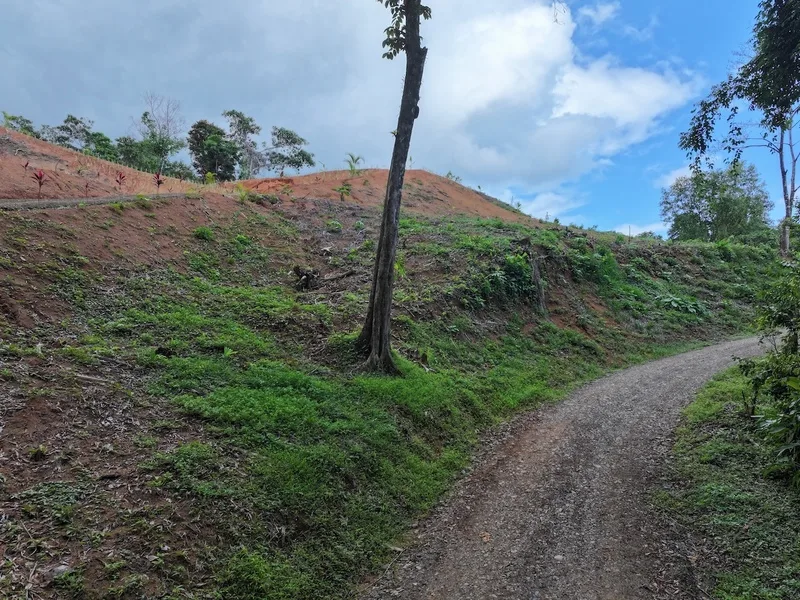 Land For Sale in Dominical, photo 4