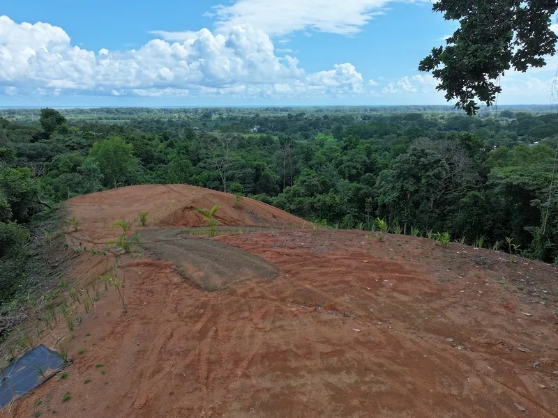 Land For Sale in Dominical, photo 6