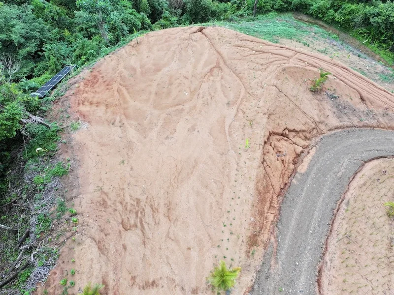 Land For Sale in Dominical, photo 7