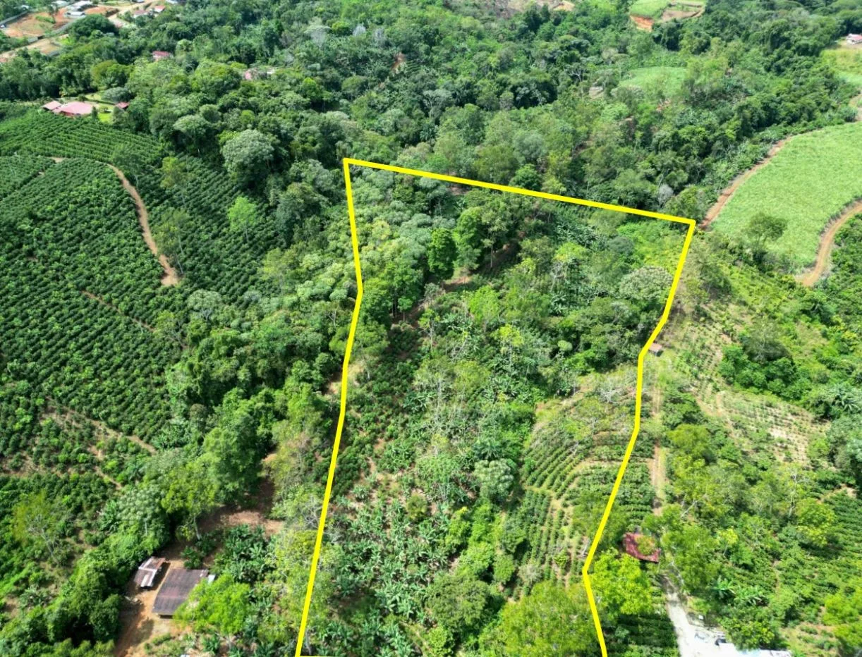 Beautiful land ( 2 hectares / 5 acres) with the best Location in Santa Elena, Perez Zeledon, photo 6
