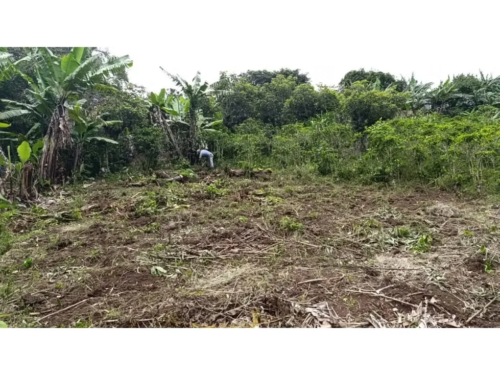 ¡Lote en venta en San Luis de Santo Domingo!