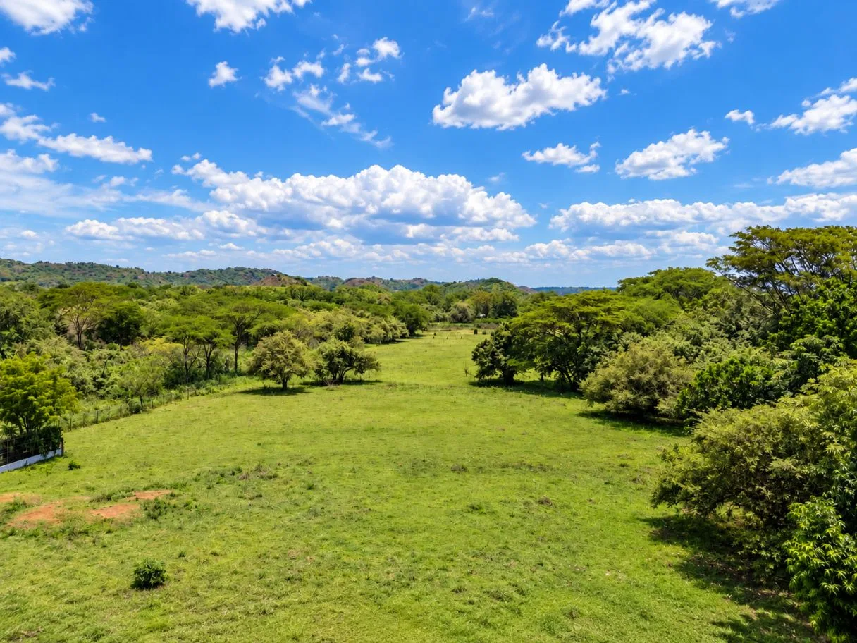 Land to Develop, photo 3