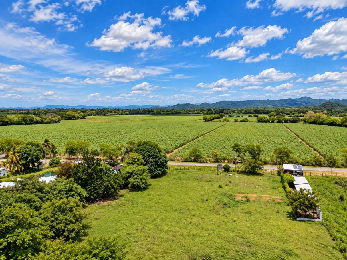 Land to Develop, photo 6