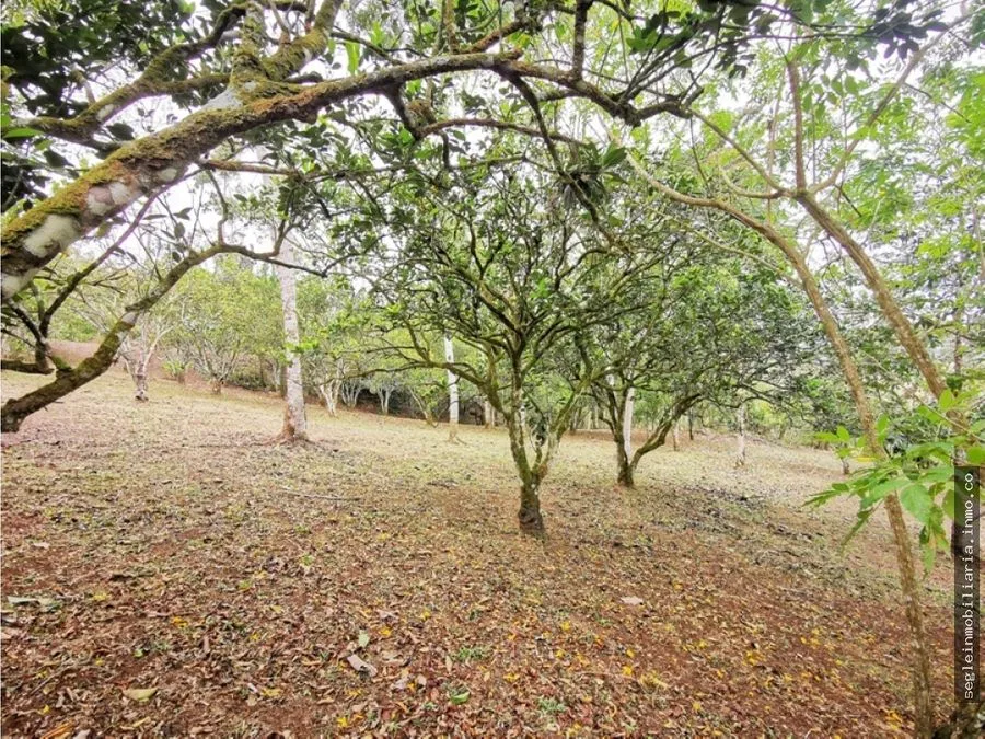 Quinta en venta, Florencia de San Carlos, Río Peje.