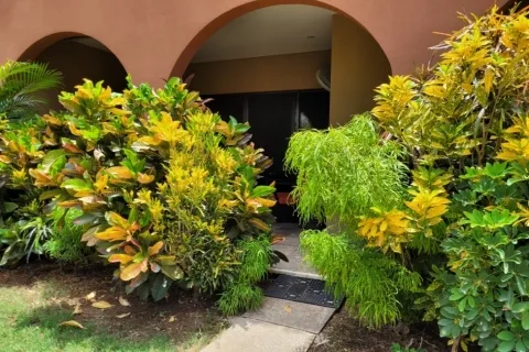 C Ventanas Veinticiete De Abril Guanacaste, photo 12
