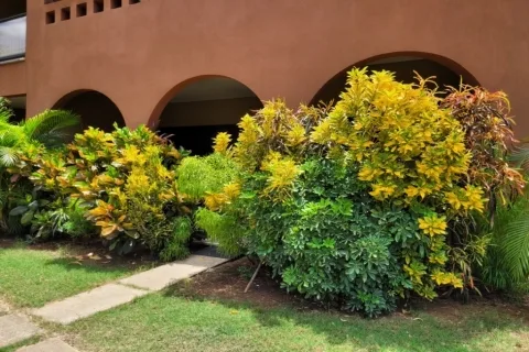 C Ventanas Veinticiete De Abril Guanacaste, photo 13