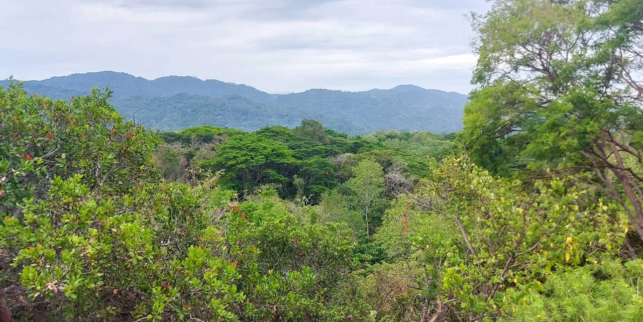 La Estancia del Pacífico at Tárcoles