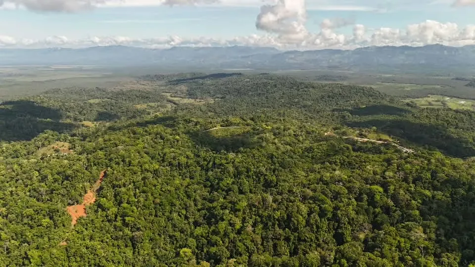The property is located in the narrowest part of the most diverse location of the Earth, essential for the passage of wildlife between the National Parks Corcovado and Piedras Blancas, ...