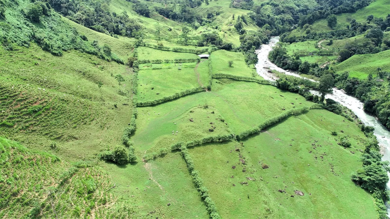 FARM DEVELOPMENT NEAR TO THE RIVER, IN SAVEGRE SAN ISIDRO – 204 ACRES
