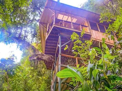 Experiencia totalmente inmersiva en la selva tropical del sur de Costa Rica.