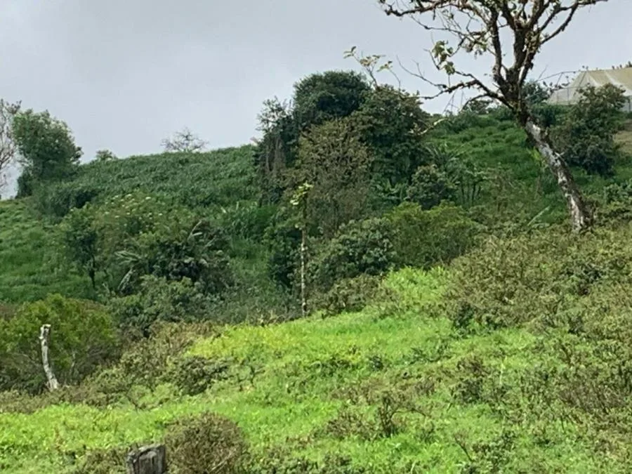 Venta de Lote en Vásquez Coronado-Dulce Nombres. - Venta en Vasquez de Coronado, photo 11