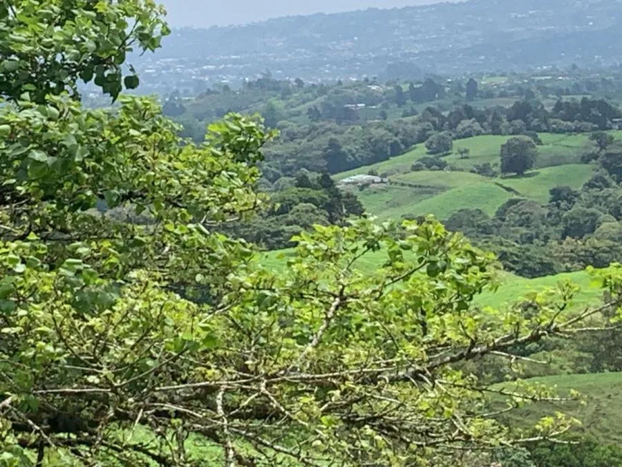 Venta de Lote en Vásquez Coronado-Dulce Nombres. - Venta en Vasquez de Coronado, photo 14