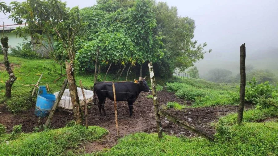 Venta de Lote en Vásquez Coronado-Dulce Nombres. - Venta en Vasquez de Coronado, photo 15