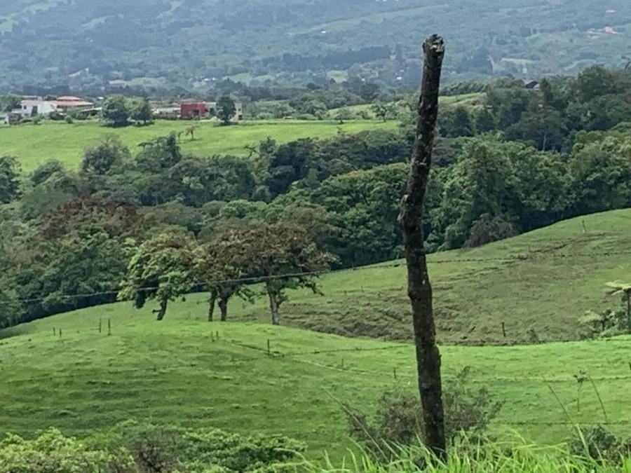 Venta de Lote en Vásquez Coronado-Dulce Nombres. - Venta en Vasquez de Coronado, photo 8
