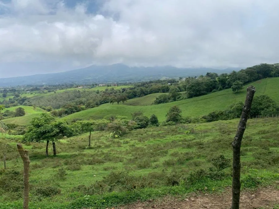 Venta de Lote en Vásquez Coronado-Dulce Nombres. - Venta en Vasquez de Coronado, photo 9