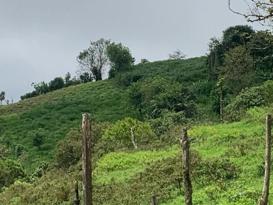 Venta de Lote en Vásquez Coronado-Dulce Nombres. - Venta en Vasquez de Coronado, photo 10