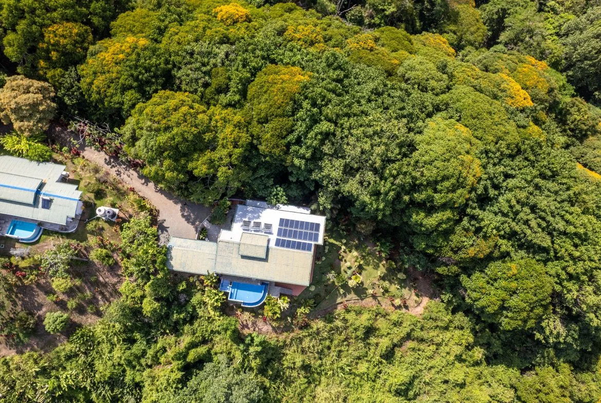 Best Views in Dominical – Home with Apartment and Infinity Pool – 1.47 Acres, photo 12