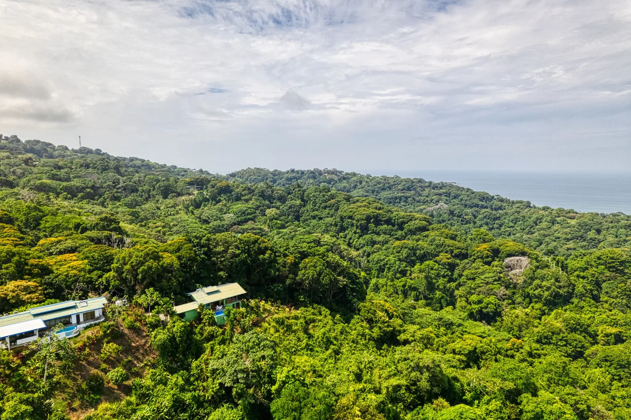 Best Views in Dominical – Home with Apartment and Infinity Pool – 1.47 Acres, photo 17