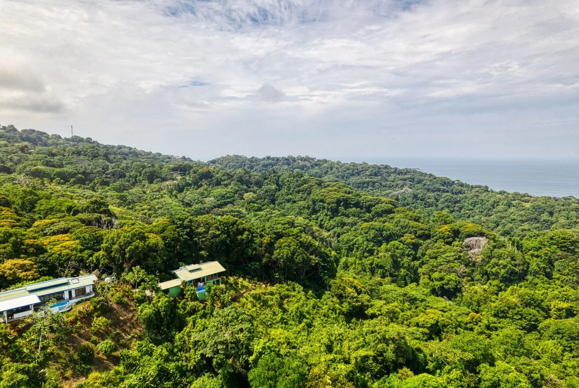 Best Views in Dominical – Home with Apartment and Infinity Pool – 1.47 Acres, photo 18