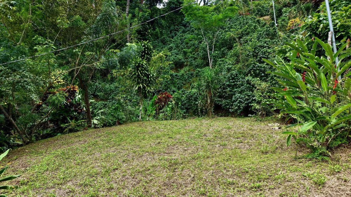 SE VENDE FINCA CON CASA Y MIRADOR EN SAN GABRIEL - Venta en Pérez Zeledón, photo 11