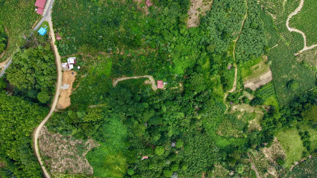 SE VENDE FINCA CON CASA Y MIRADOR EN SAN GABRIEL - Venta en Pérez Zeledón, photo 7