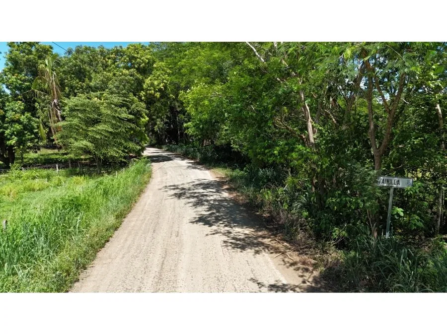 Venta Lote en Lepanto Puntarenas para Invertir o Construir, photo 6