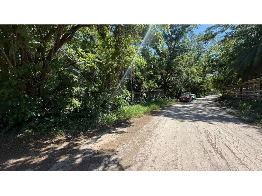 Venta Lote en Lepanto Puntarenas para Invertir o Construir, photo 10