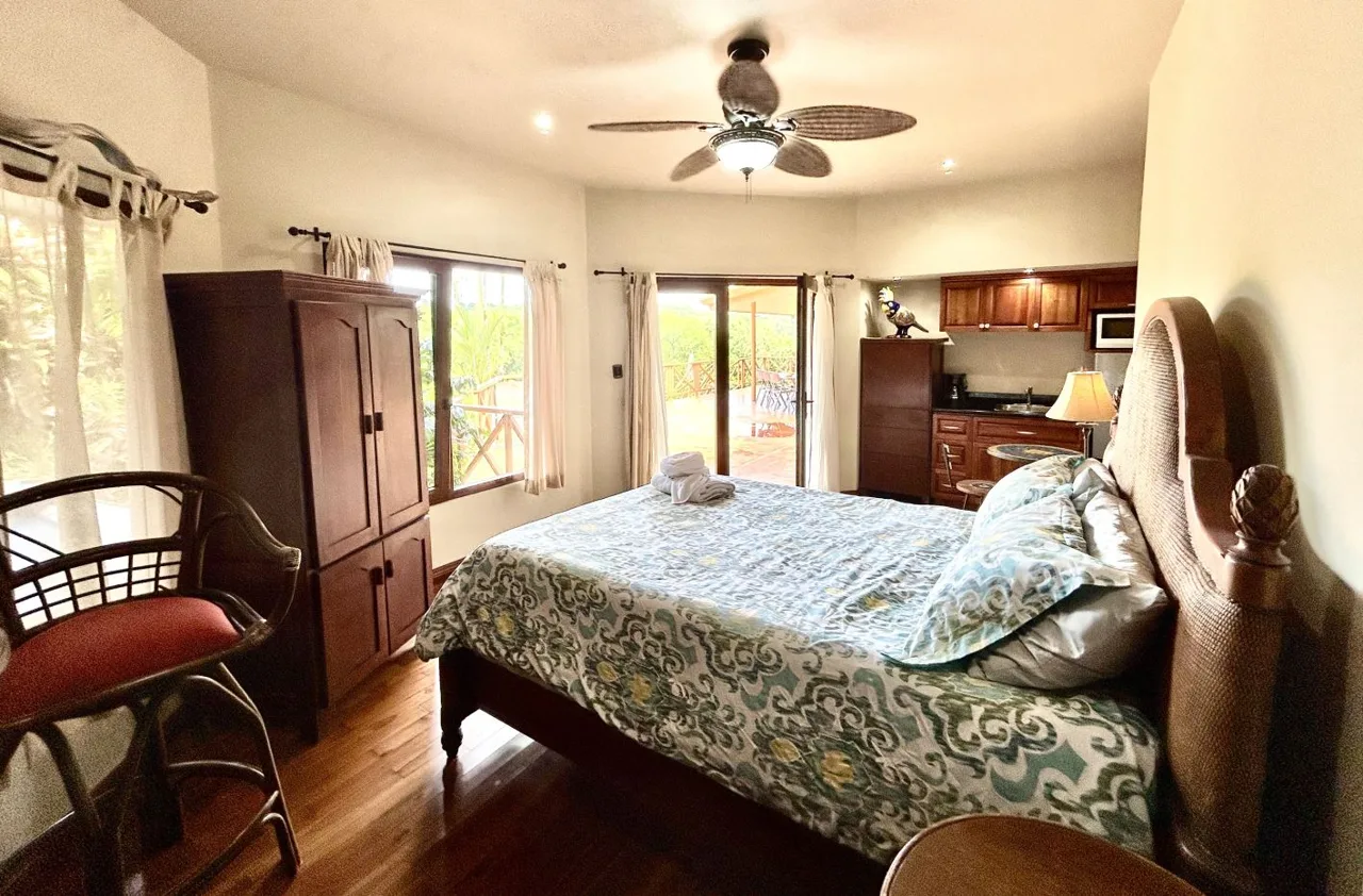 Waterfront Lake Arenal Villa with Guest Casita in Exclusive Buena Vista Community, photo 4