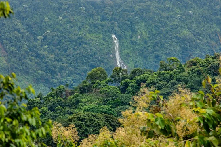 2.4 Acre Property In The Mountains Above Dominical with Waterfall Views, photo 2