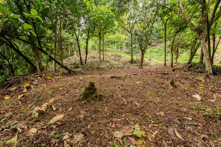 2.4 Acre Property In The Mountains Above Dominical with Waterfall Views, photo 12