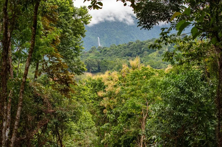 2.4 Acre Property In The Mountains Above Dominical with Waterfall Views, photo 3