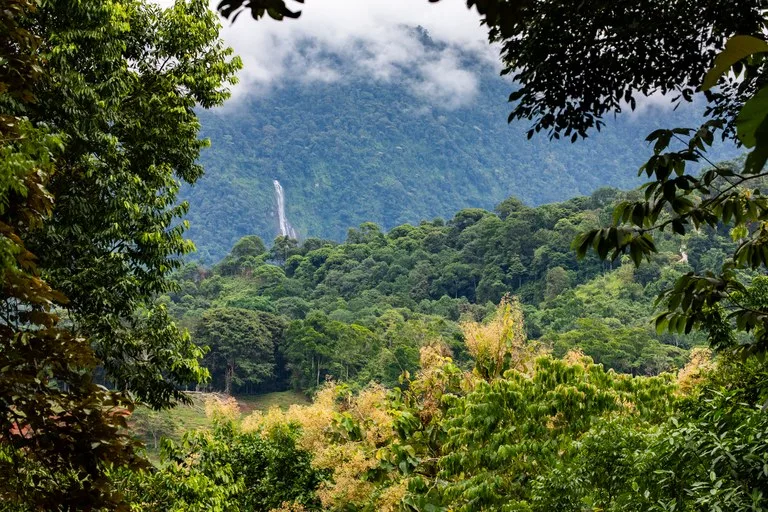 2.4 Acre Property In The Mountains Above Dominical with Waterfall Views, photo 4