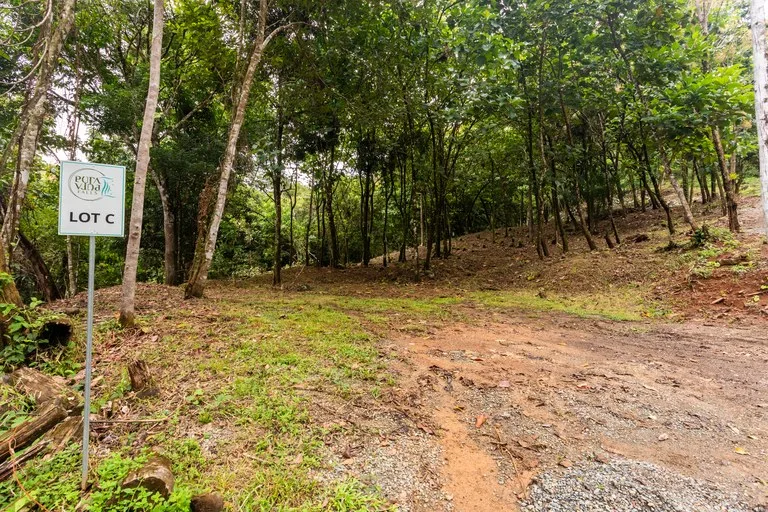 2.4 Acre Property In The Mountains Above Dominical with Waterfall Views, photo 5