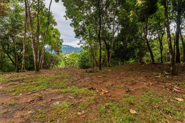 2.4 Acre Property In The Mountains Above Dominical with Waterfall Views, photo 6