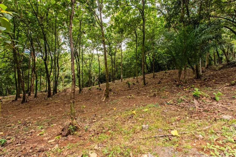 2.4 Acre Property In The Mountains Above Dominical with Waterfall Views, photo 7