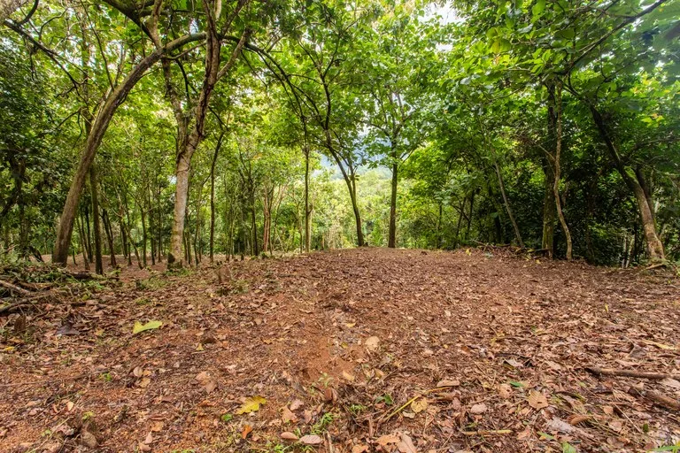 2.4 Acre Property In The Mountains Above Dominical with Waterfall Views, photo 8