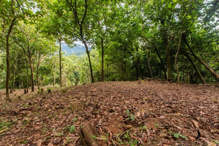 2.4 Acre Property In The Mountains Above Dominical with Waterfall Views, photo 9