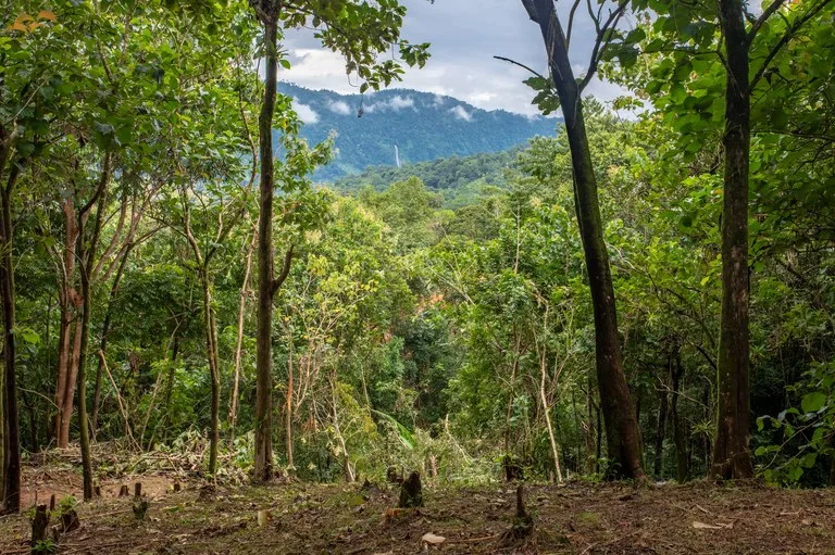 2.4 Acre Property In The Mountains Above Dominical with Waterfall Views, photo 10