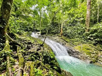 Cataratas Las Pilas  y Proyecto Ecoturístico en Pirrís de Parrita  Turismo