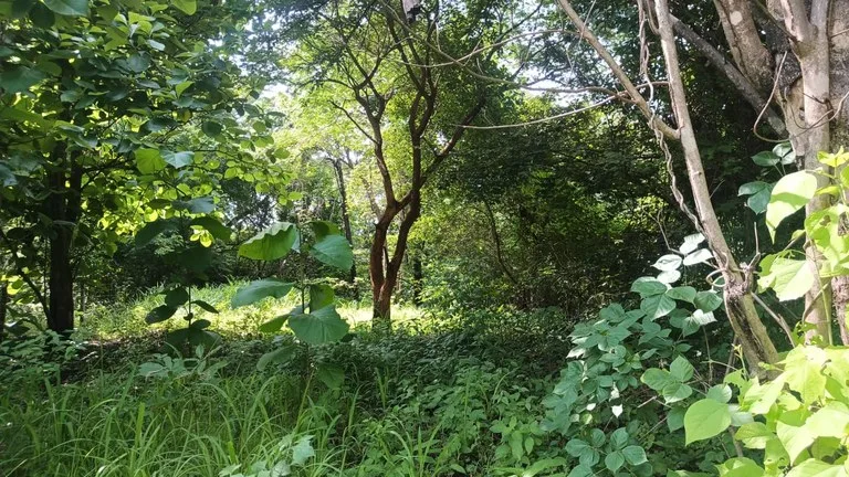 Industrial Property Complex for Sale – Prime Location on Route #21, Just 5 Minutes from Liberia International Airport, photo 2