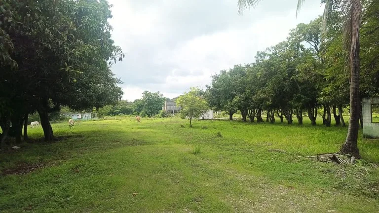 Industrial Property Complex for Sale – Prime Location on Route #21, Just 5 Minutes from Liberia International Airport, photo 12