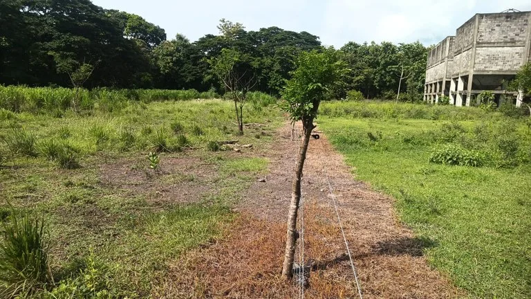 Industrial Property Complex for Sale – Prime Location on Route #21, Just 5 Minutes from Liberia International Airport, photo 15