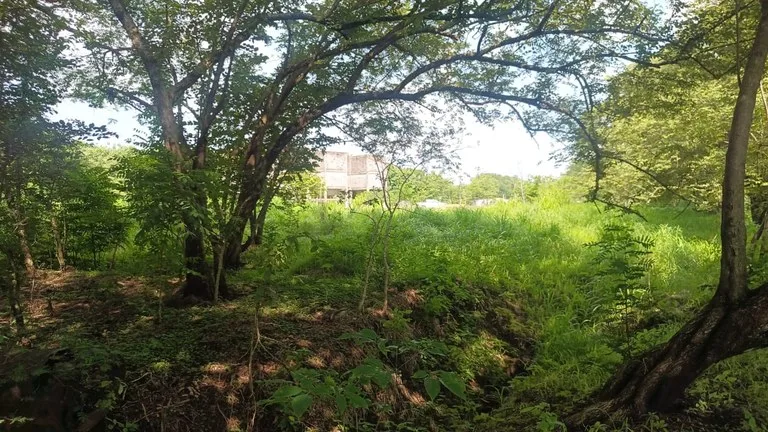 Industrial Property Complex for Sale – Prime Location on Route #21, Just 5 Minutes from Liberia International Airport, photo 3