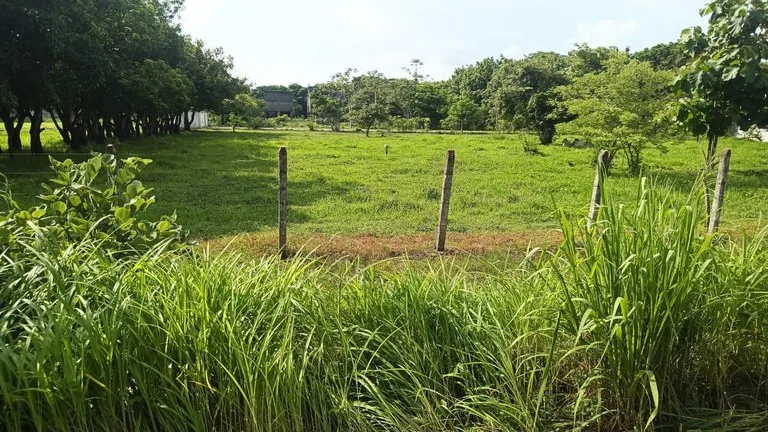 Industrial Property Complex for Sale – Prime Location on Route #21, Just 5 Minutes from Liberia International Airport, photo 7