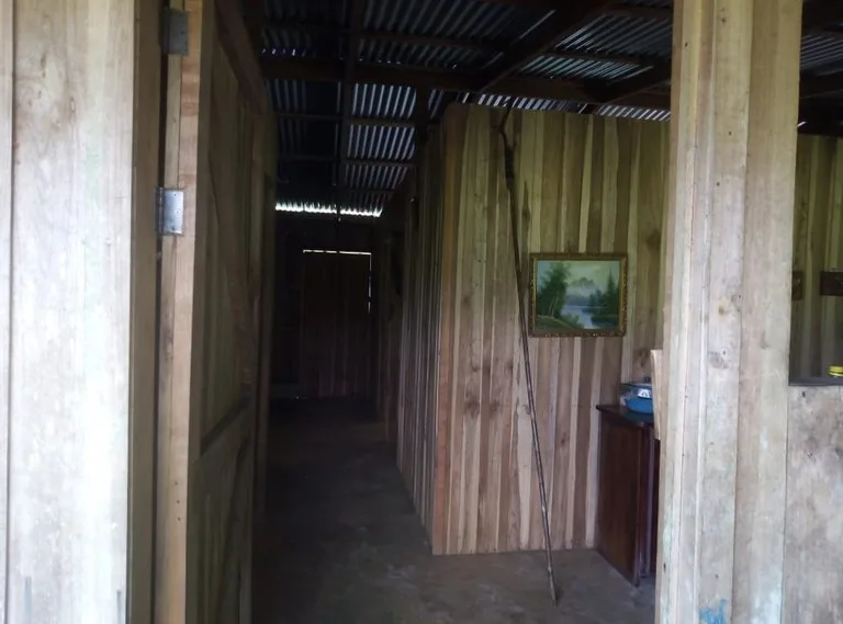 Agricultural Land in Aguas Claras, photo 14