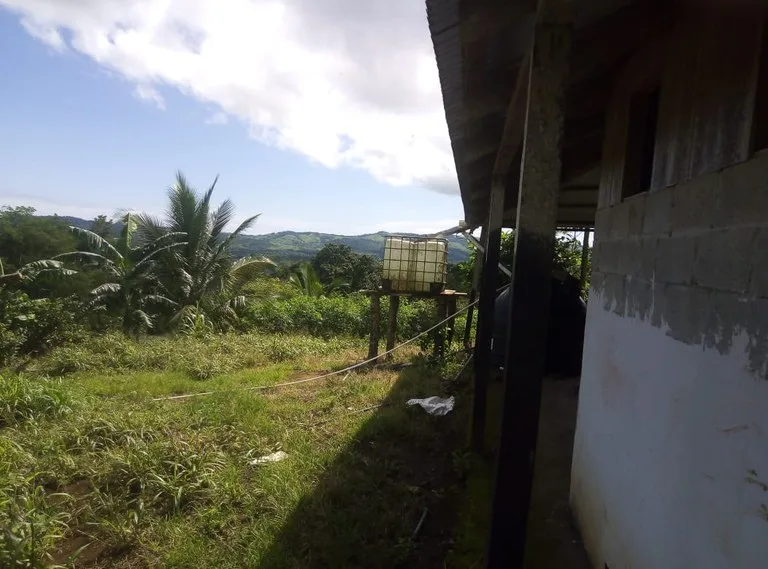 Agricultural Land in Aguas Claras, photo 15