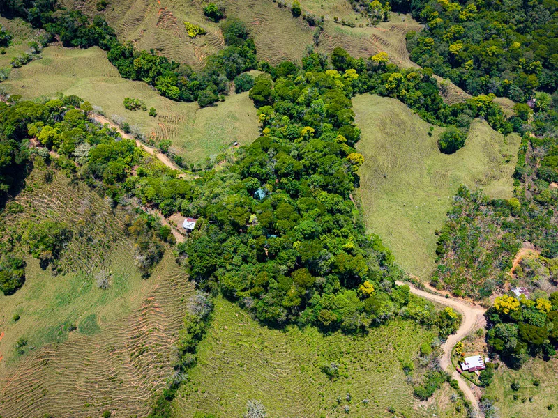 2 Bed Single Family Homes For Sale in Perez Zeledon, photo 7