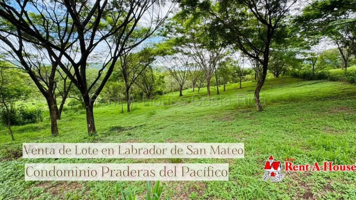 Venta de lote de 6,647m2 en San Mateo 26-2162 - Venta en San Mateo
