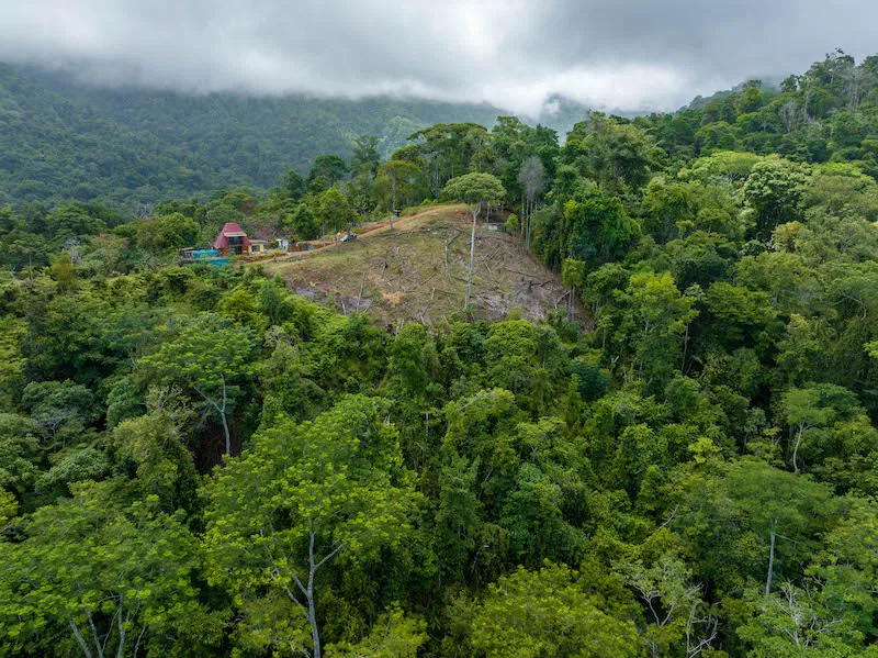 OCEAN VIEW DEVELOPMENT OPPORTUNITY – 16 ACRES, photo 11